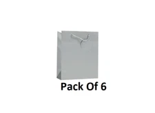 Simon Elvin Finishing Touch Single Colour Small Gift Bags - Silver (Pack of 6)
