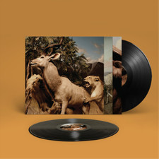 Image of Interpol Our Love to Admire (Vinyl) 12" Album (US IMPORT)