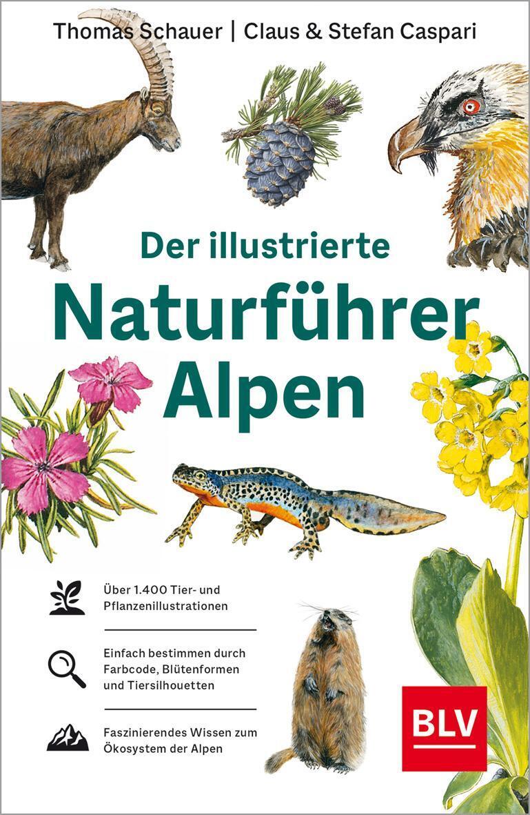 Der Illustrierte Naturführer Alpen | Thomas Schauer (u. A.) |