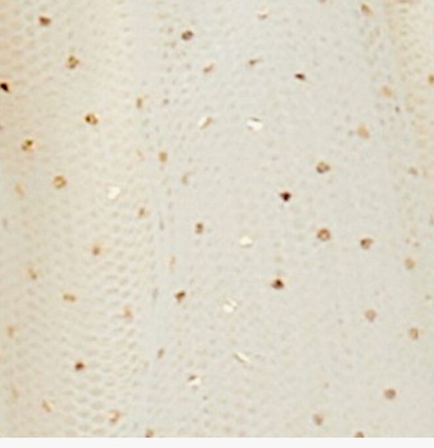 Holiday Time Girls Tulle Overlay Crème Sparkle Skirt Large (10-12) NWT - Picture 3 of 8