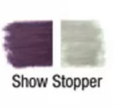 Eyeliner Pencil Duel Purple And Silver Grey ,One On Each  End  C Description