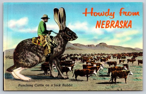 Postcard Exaggeration Jack Rabbit Nebraska - 第 1/2 張圖片