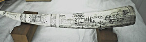 Replica of Walrus Tusk scrimshaw for " Bark Cavalier"