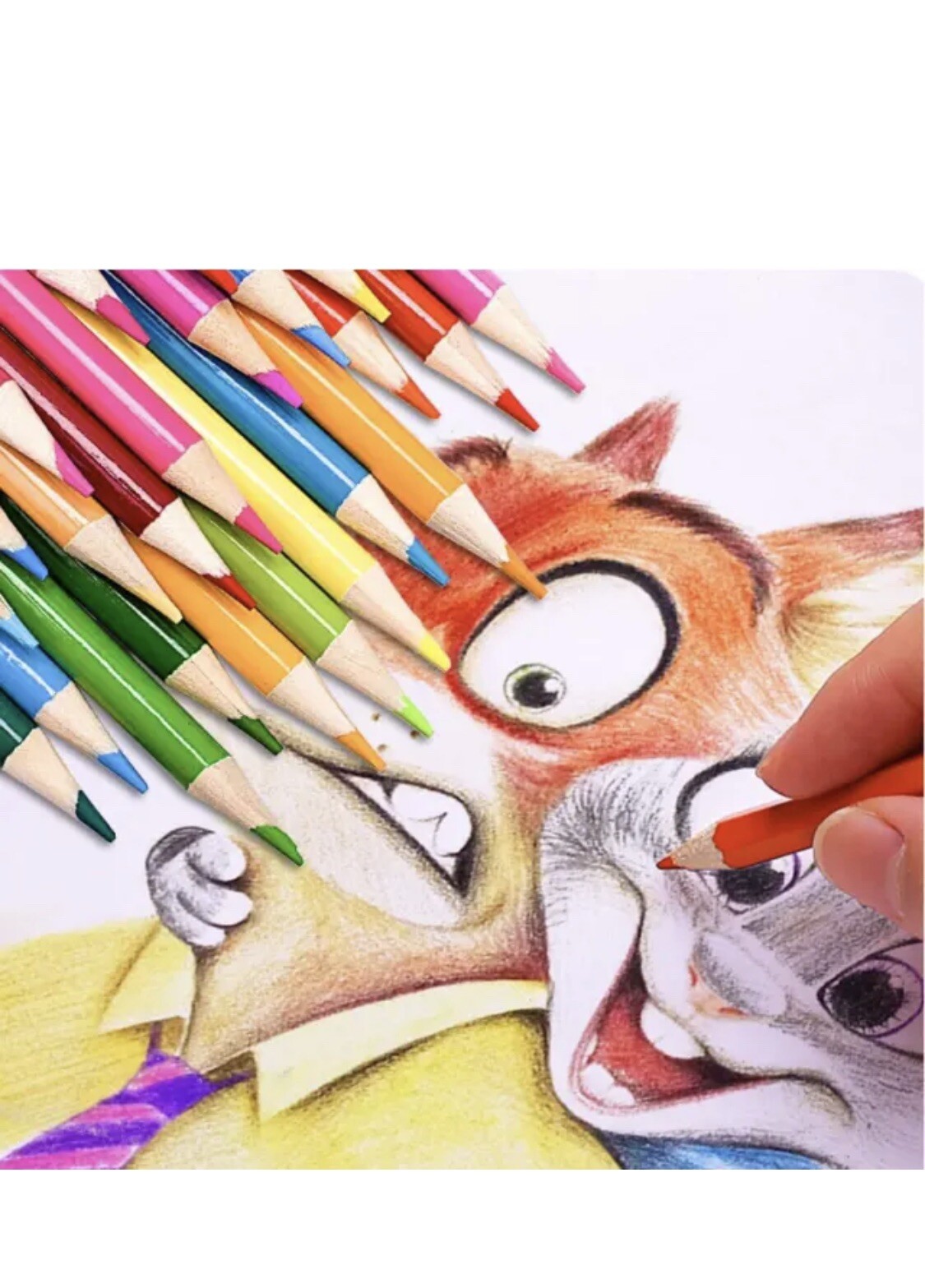 Foto 2 di 2