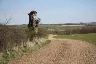 Photo 6x4 Wolds view Stainton le Vale A lone tree stump on the wolds abov c2009