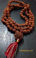 Sei Che Mukhi 6 Viso Rudraksha Japa Mala Rosario 108+1 Perlina Yoga Panch