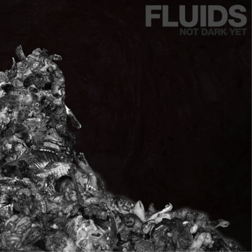 Fluids Not Dark Yet (CD) Album