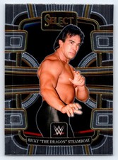 2024 Panini Select WWE #93 Ricky 