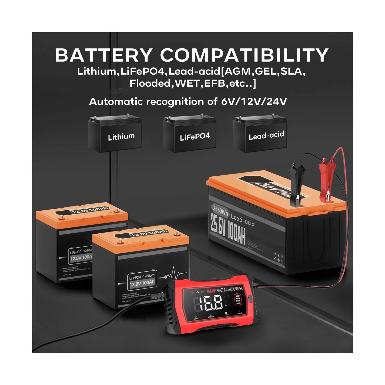 16-Amp Battery Charger, 12V 24V Lithium LiFePO4 Lead Acid Car Batte... Fast Ship