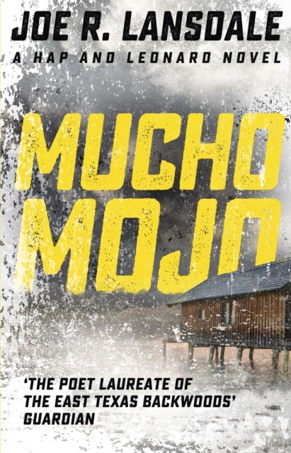 Mucho Mojo Hap and Leonard Book 2 by Joe R. Lansdale (Paperback Book)