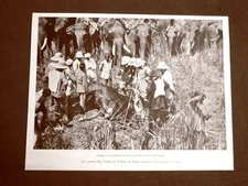 Il Conte di Torino nella caccia in India nel 1899 Bisonte ucciso nell'Assam