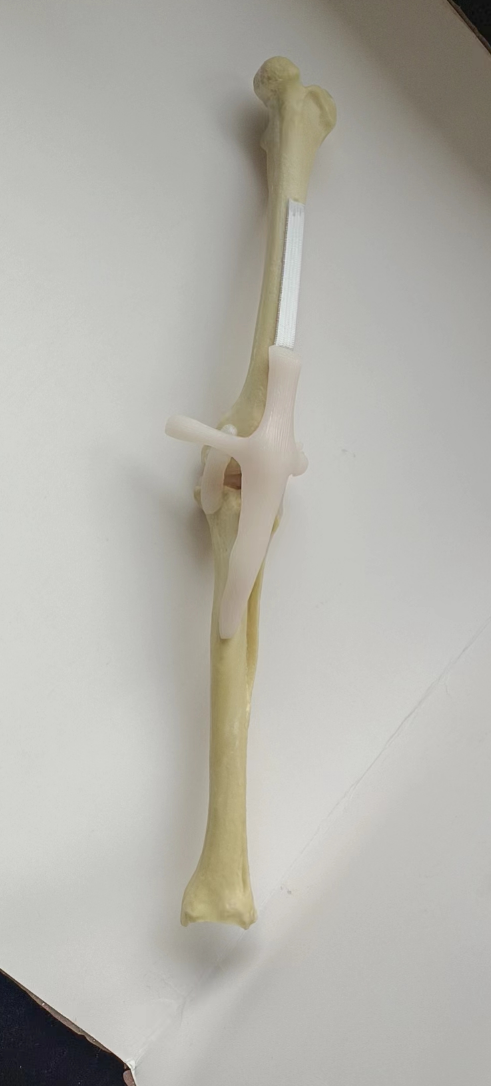 Foto 1 di 2