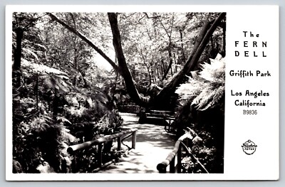 RPPC  Los Angeles   California   Griffith Park  The Fern Dell   Postcard