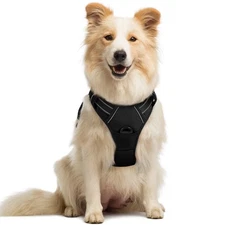 rabbitgoo No Pull Dog Harness: Adjustable, Soft Padded, Reflective, 2 Leash Clip