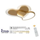 Bild 11 von 11