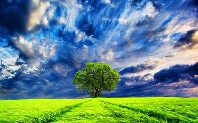 Anime Cloud Earth Field Green Lonely Tree Sky Tree  Gaming Mat Desk 1437