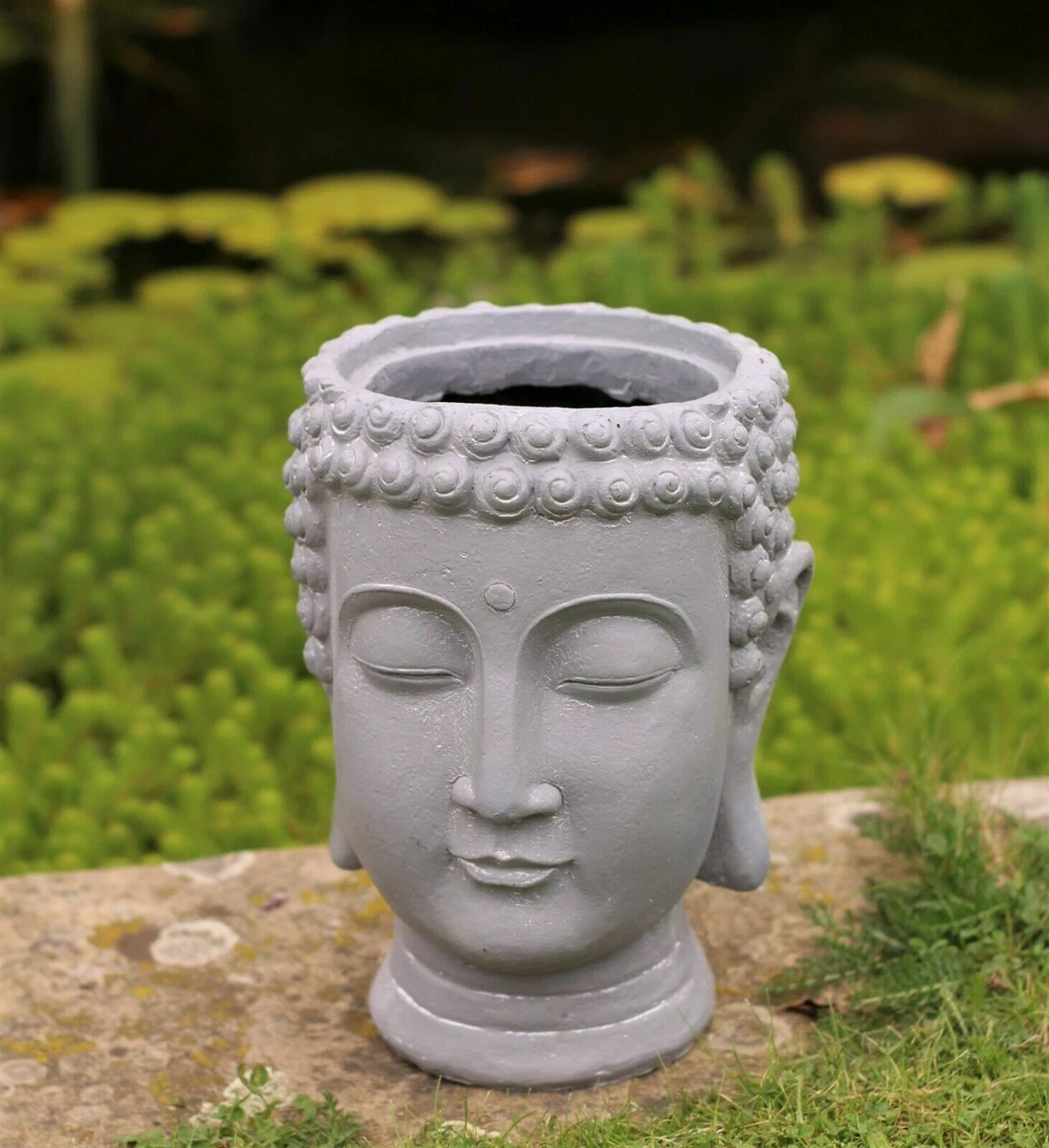 Buddha on sale plant pot