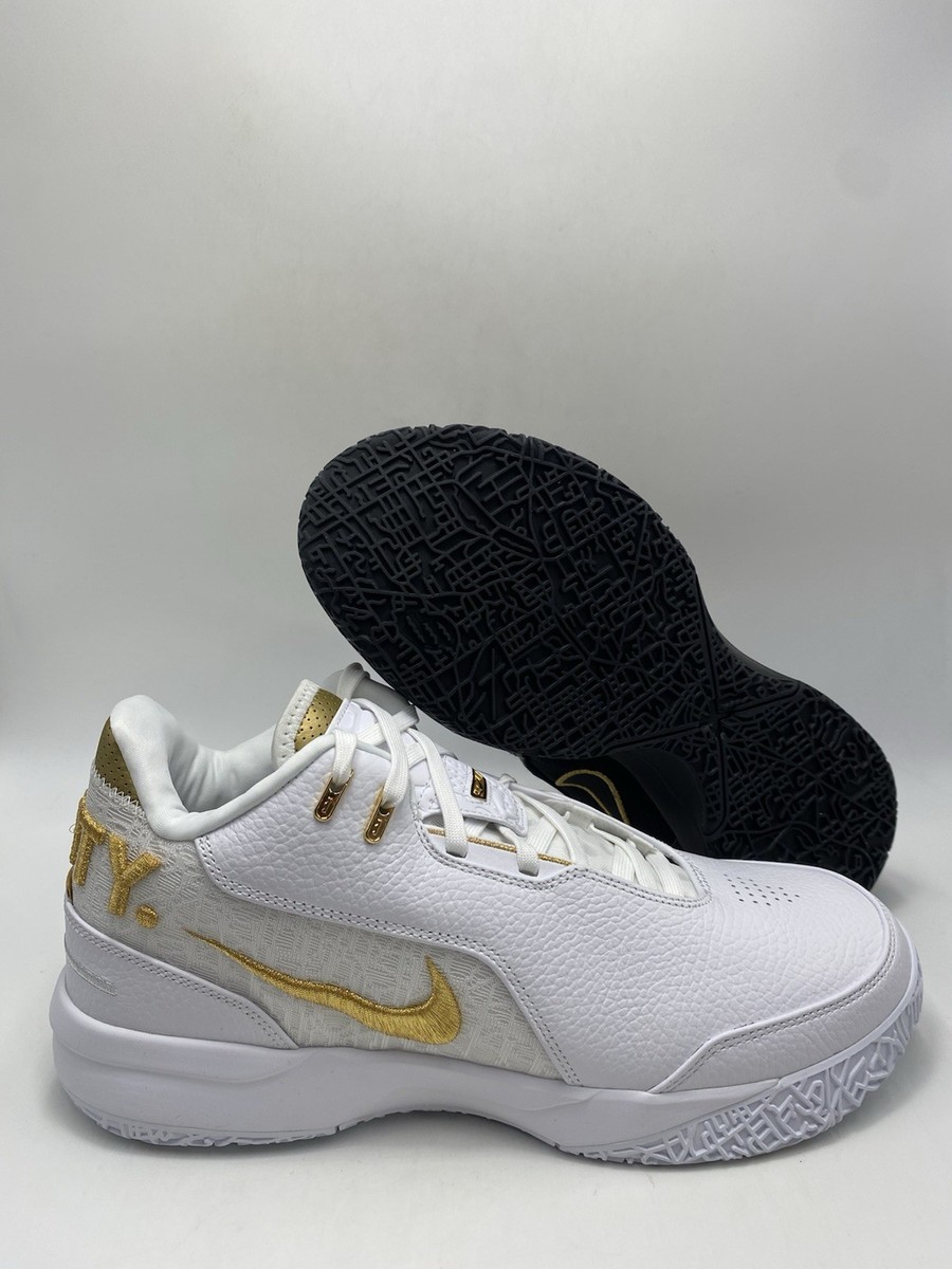 Size 11 - Nike Zoom LeBron NXXT Gen AMPD Equity for sale online | eBay
