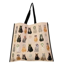 Black Persian Gray Cat Cats Scarves Scarf Glasses Gift Tote Bag New T.J. TJMaxx 