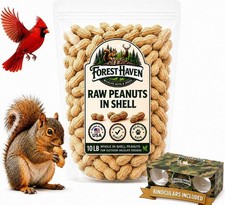 Forest Haven Premium Raw Peanuts for Squirrels 10LB Bulk Squirrel Food Unsal