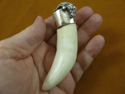 G963-8D Extra LARGE 3-7/8'' GATOR Alligator Tooth teeth SILVER CAP gators Pendant