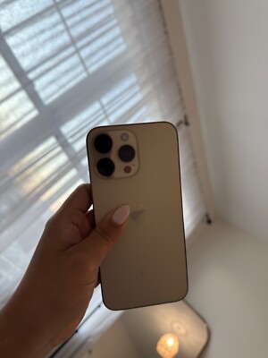 TIKTOK Apple iPhone 14 Pro Max - TIKTOK APP - 512 GB -  Gold (Unlocked)
