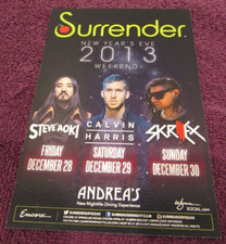2013 Steve Aoki Skrillex Concert Surrender Las Vegas Promo Flyer Card 5"x7"