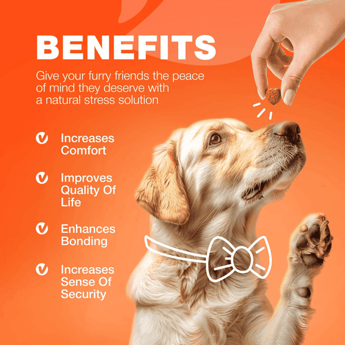 Glucosamine for Dogs Hip and Joint Supplement for Dogs Chondroitin Chews MSM - Bild 9 von 9