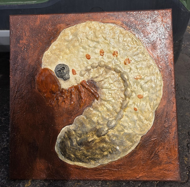 OOAK Handmade Textured Grub Worm Larva Skull Creepy Mixed Media Art Piece