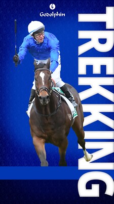 Horse racing photo, stallions,thoroughbreds ascot, breeders cup,farms, cup