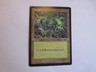 MTG FOREST # 347/350 CARD