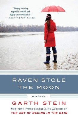Raven Stole the Moon: A Haunting Supernatural Thriller   A Mother and Son ...