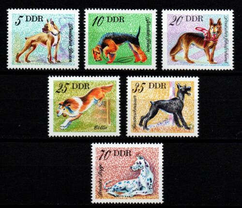 Germany DDR 1976 Sc# 1749-1754 Mint MNH animal dog terrier collie shepherd stamp - Afbeelding 1 van 1