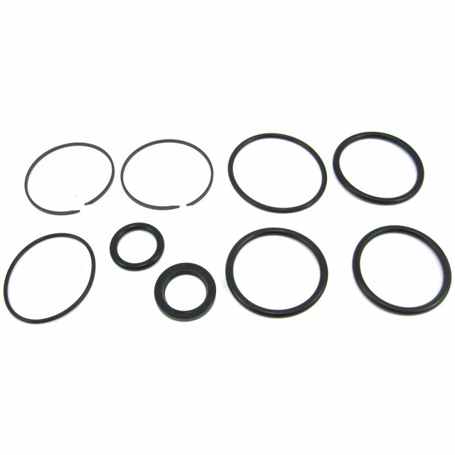 Z92 Evinrude Johnson 985060 Trim /Tilt Cylinder Seal Kit Factory Boat