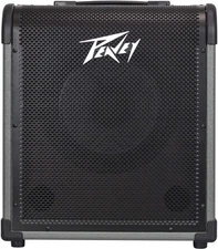 Peavey MAX 100 100-Watt Bass Amp Combo