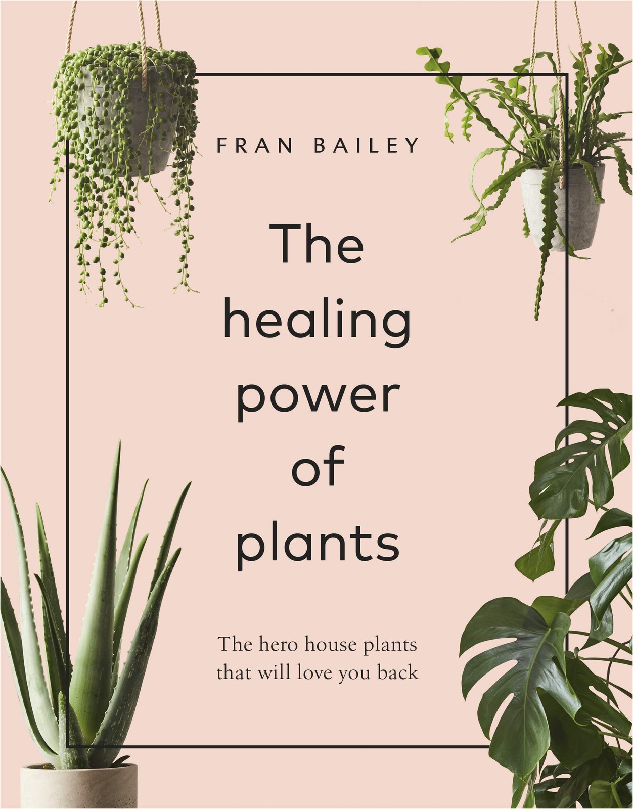 The Healing Power of Plants: The Hero House Plants by Fran Bailey (HB 2019) - Image 6