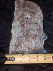 Picture 5 of 24