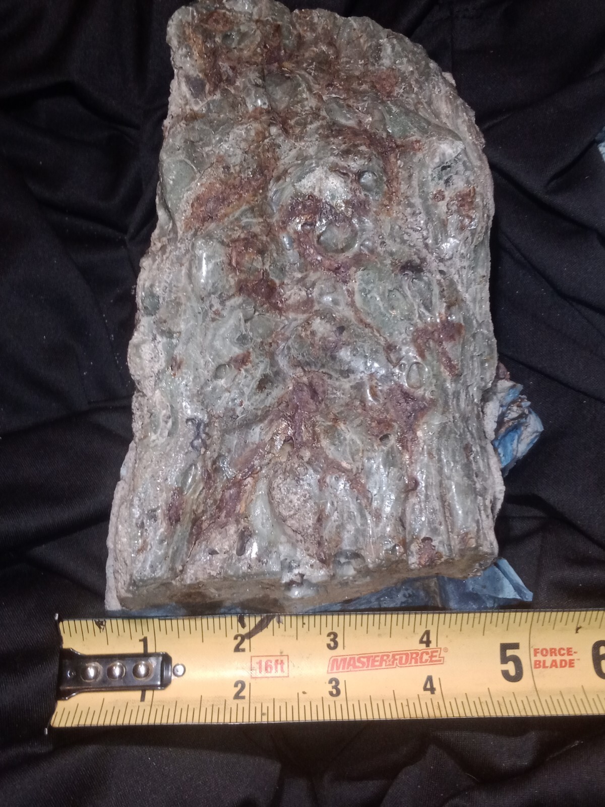 Picture 5 of 24
