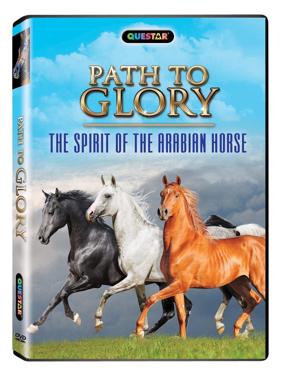 Path to Glory - The Spirit of the Arabian Horse (DVD) Erik Bialobok Wayne Newton