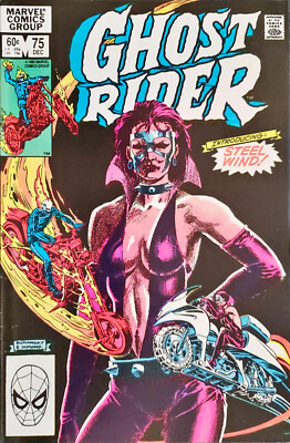 Ghost Rider #s 66-69-70-75 : 1982