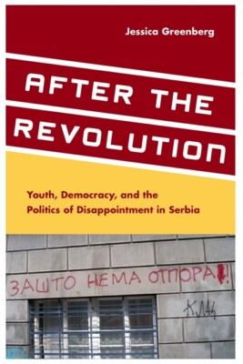After The Revolution: Youth, Democracy, And The Politics Of Disappointment ...