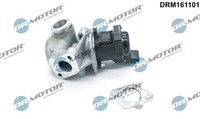 Dr.Motor Automotive Agr-Ventil DRM161101 FüR CitroËN Passend FüR Fiat Ford