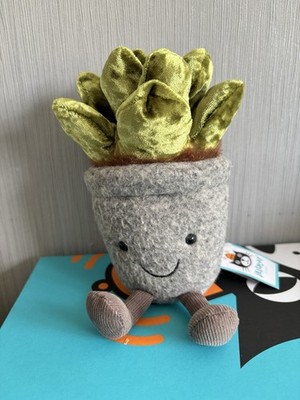Jellycat dumme Sukkulenten Jade Topfkaktus neu mit Etikett nur ausgestellt brandneu