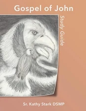 Gospel of John: Study Guide - paperback Stark Sr, Kathy
