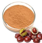 Horse Chestnut Extract 98% AESCIN Aesculus hippocastanum Circulatory Support