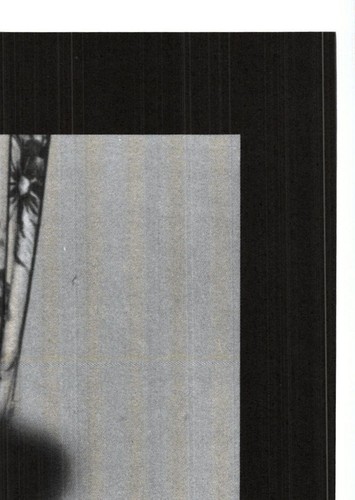 Betty/Bettie Page Vintage Erotic Pinup lingerie Trading Card - Picture 2 of 2
