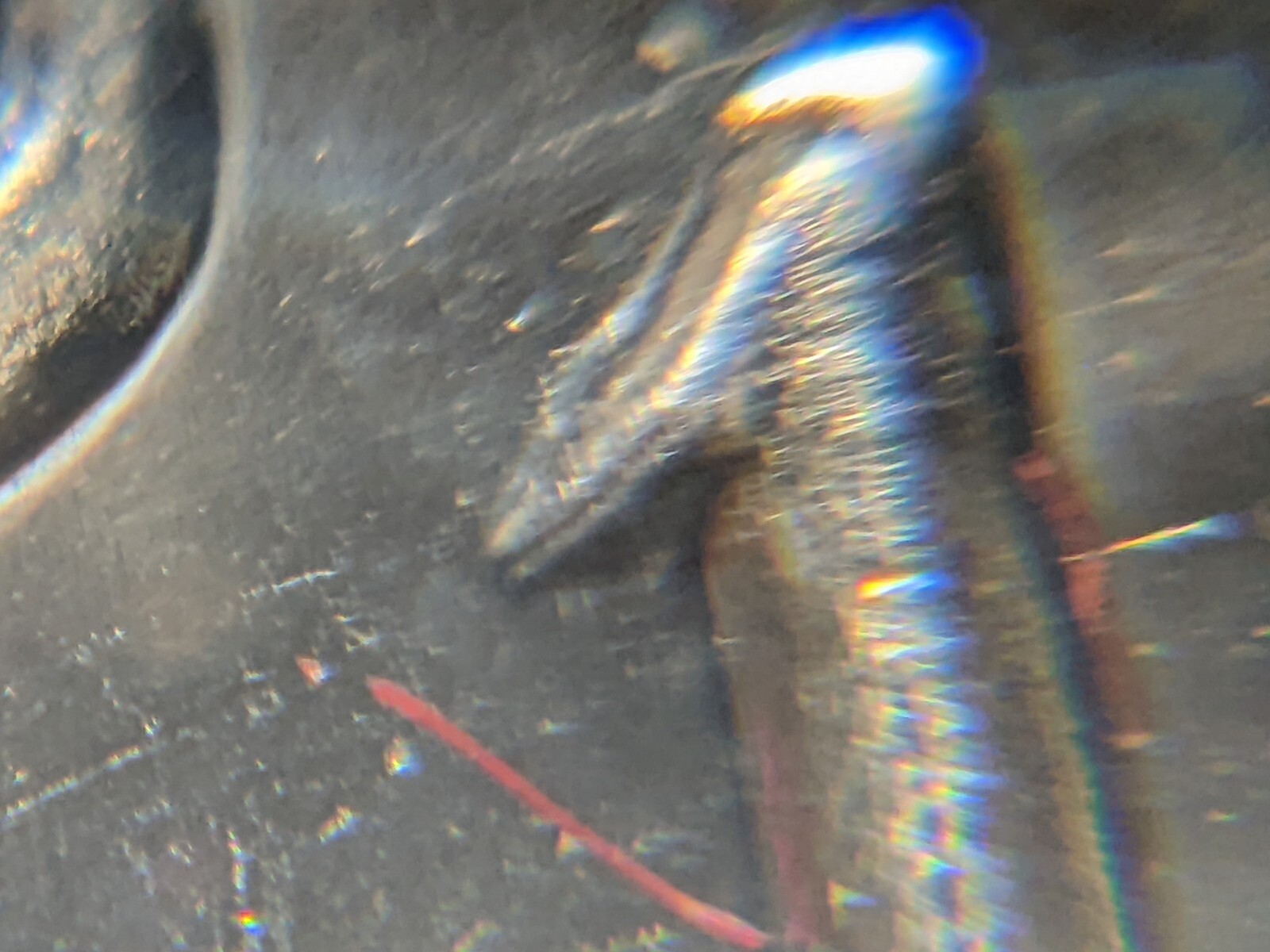 Picture 10 of 12