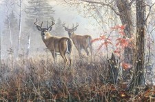 Ceramic Backsplash Tile Mural Deer Kitchen/Bathroom - Double Vision - Jim Hansel