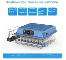 Small Home Incubator ForSmall Eggs Machine Incubator for Eggs Incubation Chamber