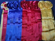 "Georgia Arabian Association" Horse Show Ribbons Awards Equestrian Events 1990's